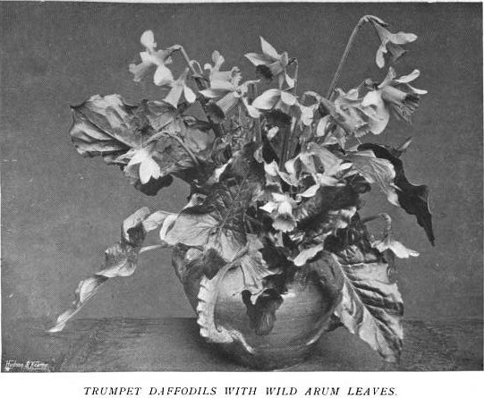 Edwardian Flower Arrangements: May