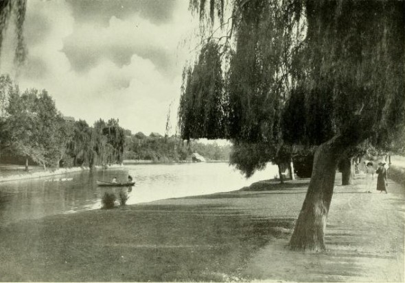 Weeping Willow, Echo Park